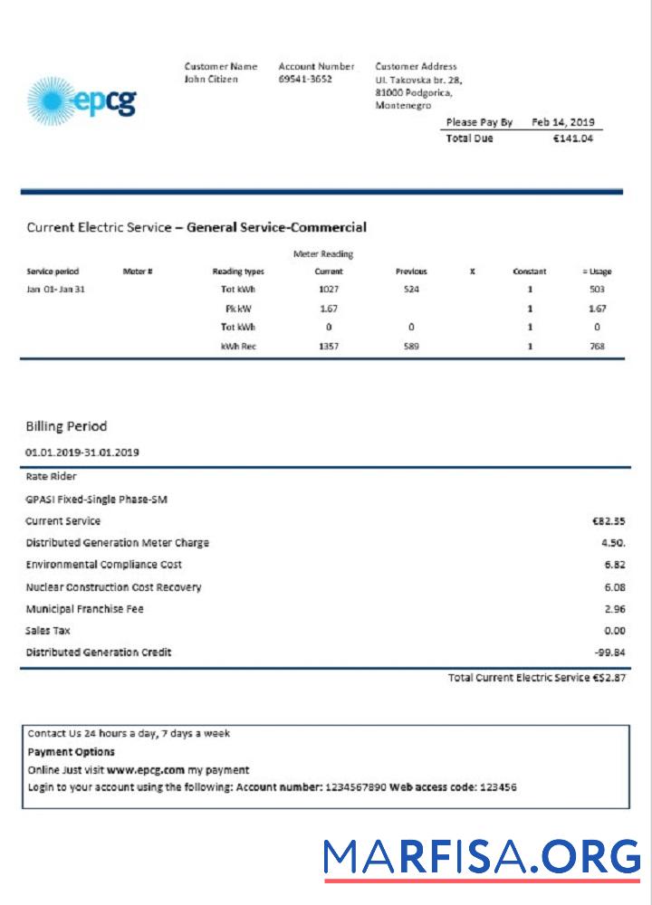 Blank Montenegro Elektroprivreda Crne Gore (EPCG) electricity utility bill template in Word and PDF format